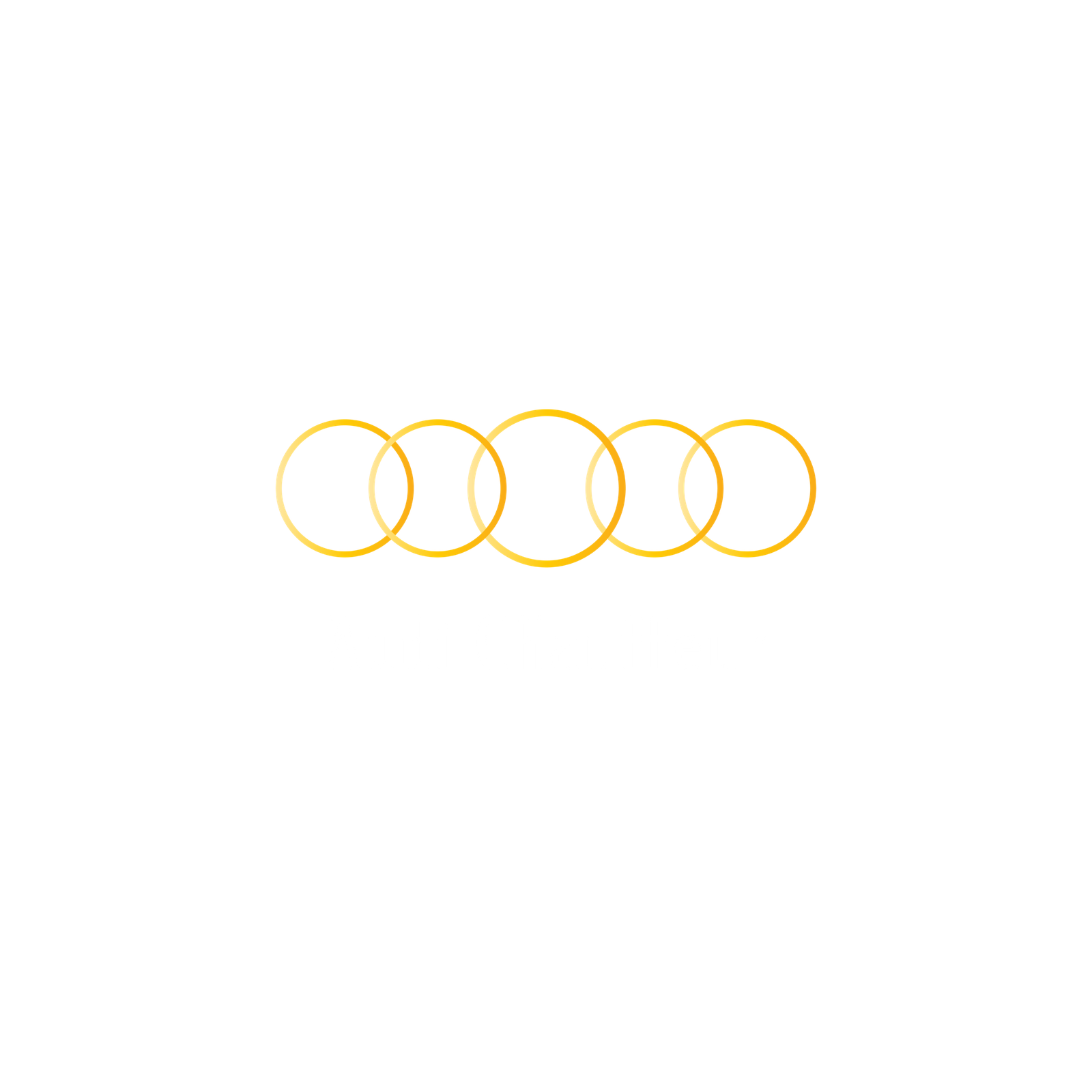Audi Chauffeurs